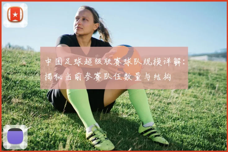中国足球超级联赛球队规模详解:揭秘当前参赛队伍数量与结构