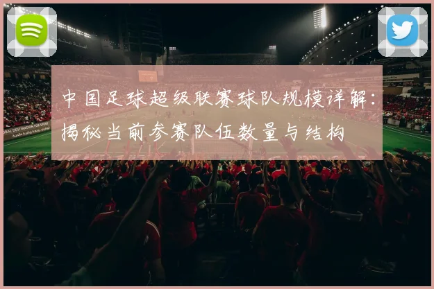 中国足球超级联赛球队规模详解:揭秘当前参赛队伍数量与结构
